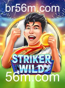 Explorando o Empolgante Mundo de StrikerWILD